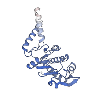 26630_7unr_b_v1-1
Pseudomonas aeruginosa 70S ribosome initiation complex bound to compact IF2-GDP (composite structure I-A)