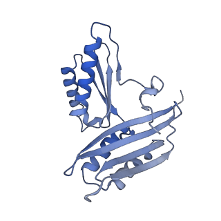 26630_7unr_c_v1-0
Pseudomonas aeruginosa 70S ribosome initiation complex bound to compact IF2-GDP (composite structure I-A)
