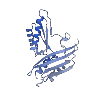 26630_7unr_c_v1-1
Pseudomonas aeruginosa 70S ribosome initiation complex bound to compact IF2-GDP (composite structure I-A)