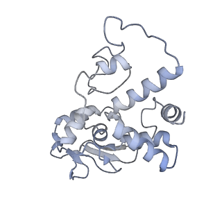 26630_7unr_d_v1-0
Pseudomonas aeruginosa 70S ribosome initiation complex bound to compact IF2-GDP (composite structure I-A)