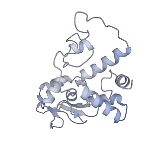 26630_7unr_d_v1-1
Pseudomonas aeruginosa 70S ribosome initiation complex bound to compact IF2-GDP (composite structure I-A)