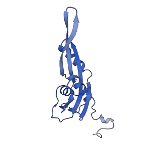 26630_7unr_e_v1-1
Pseudomonas aeruginosa 70S ribosome initiation complex bound to compact IF2-GDP (composite structure I-A)