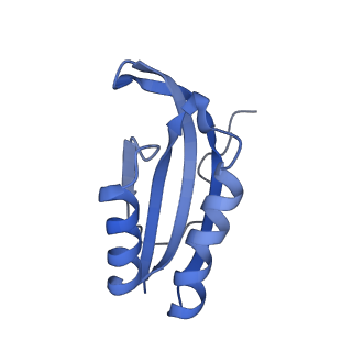 26630_7unr_f_v1-0
Pseudomonas aeruginosa 70S ribosome initiation complex bound to compact IF2-GDP (composite structure I-A)