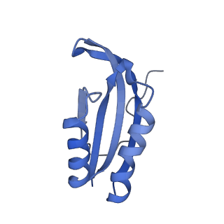 26630_7unr_f_v1-1
Pseudomonas aeruginosa 70S ribosome initiation complex bound to compact IF2-GDP (composite structure I-A)