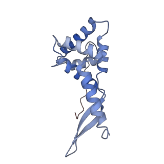 26630_7unr_g_v1-0
Pseudomonas aeruginosa 70S ribosome initiation complex bound to compact IF2-GDP (composite structure I-A)