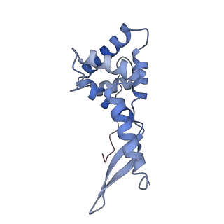 26630_7unr_g_v1-1
Pseudomonas aeruginosa 70S ribosome initiation complex bound to compact IF2-GDP (composite structure I-A)