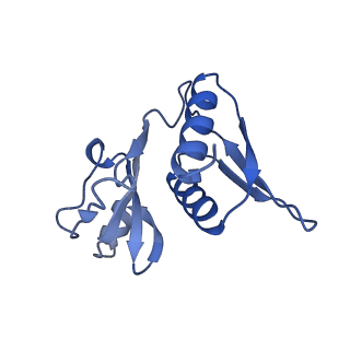 26630_7unr_h_v1-0
Pseudomonas aeruginosa 70S ribosome initiation complex bound to compact IF2-GDP (composite structure I-A)