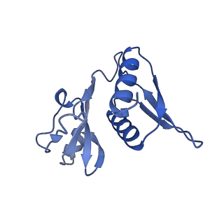 26630_7unr_h_v1-1
Pseudomonas aeruginosa 70S ribosome initiation complex bound to compact IF2-GDP (composite structure I-A)