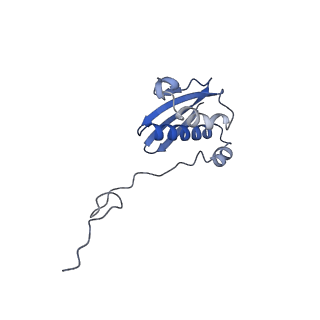 26630_7unr_i_v1-0
Pseudomonas aeruginosa 70S ribosome initiation complex bound to compact IF2-GDP (composite structure I-A)