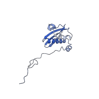 26630_7unr_i_v1-1
Pseudomonas aeruginosa 70S ribosome initiation complex bound to compact IF2-GDP (composite structure I-A)