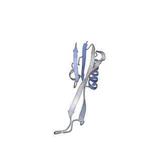 26630_7unr_j_v1-1
Pseudomonas aeruginosa 70S ribosome initiation complex bound to compact IF2-GDP (composite structure I-A)