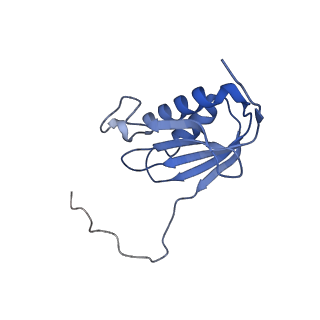 26630_7unr_k_v1-0
Pseudomonas aeruginosa 70S ribosome initiation complex bound to compact IF2-GDP (composite structure I-A)