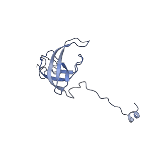 26630_7unr_l_v1-1
Pseudomonas aeruginosa 70S ribosome initiation complex bound to compact IF2-GDP (composite structure I-A)