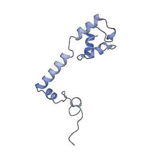 26630_7unr_m_v1-0
Pseudomonas aeruginosa 70S ribosome initiation complex bound to compact IF2-GDP (composite structure I-A)