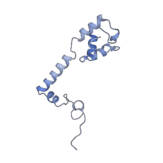 26630_7unr_m_v1-1
Pseudomonas aeruginosa 70S ribosome initiation complex bound to compact IF2-GDP (composite structure I-A)