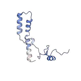26630_7unr_n_v1-0
Pseudomonas aeruginosa 70S ribosome initiation complex bound to compact IF2-GDP (composite structure I-A)