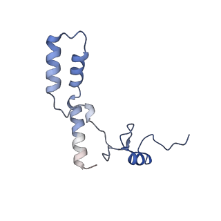 26630_7unr_n_v1-1
Pseudomonas aeruginosa 70S ribosome initiation complex bound to compact IF2-GDP (composite structure I-A)