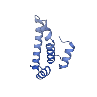 26630_7unr_o_v1-0
Pseudomonas aeruginosa 70S ribosome initiation complex bound to compact IF2-GDP (composite structure I-A)