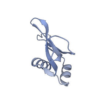 26630_7unr_p_v1-0
Pseudomonas aeruginosa 70S ribosome initiation complex bound to compact IF2-GDP (composite structure I-A)