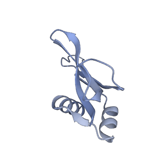 26630_7unr_p_v1-1
Pseudomonas aeruginosa 70S ribosome initiation complex bound to compact IF2-GDP (composite structure I-A)