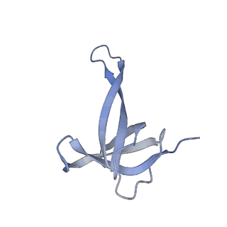 26630_7unr_q_v1-0
Pseudomonas aeruginosa 70S ribosome initiation complex bound to compact IF2-GDP (composite structure I-A)
