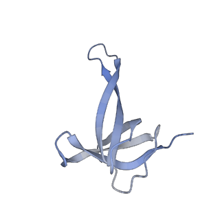 26630_7unr_q_v1-1
Pseudomonas aeruginosa 70S ribosome initiation complex bound to compact IF2-GDP (composite structure I-A)