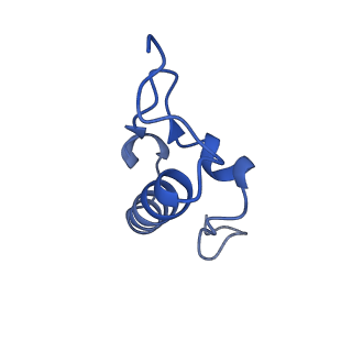 26630_7unr_r_v1-1
Pseudomonas aeruginosa 70S ribosome initiation complex bound to compact IF2-GDP (composite structure I-A)