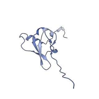26630_7unr_s_v1-0
Pseudomonas aeruginosa 70S ribosome initiation complex bound to compact IF2-GDP (composite structure I-A)