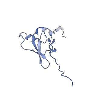 26630_7unr_s_v1-1
Pseudomonas aeruginosa 70S ribosome initiation complex bound to compact IF2-GDP (composite structure I-A)