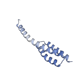 26630_7unr_t_v1-1
Pseudomonas aeruginosa 70S ribosome initiation complex bound to compact IF2-GDP (composite structure I-A)