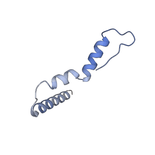 26630_7unr_u_v1-0
Pseudomonas aeruginosa 70S ribosome initiation complex bound to compact IF2-GDP (composite structure I-A)
