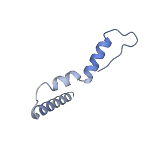 26630_7unr_u_v1-1
Pseudomonas aeruginosa 70S ribosome initiation complex bound to compact IF2-GDP (composite structure I-A)