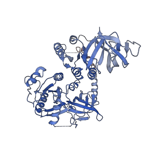 26630_7unr_x_v1-0
Pseudomonas aeruginosa 70S ribosome initiation complex bound to compact IF2-GDP (composite structure I-A)