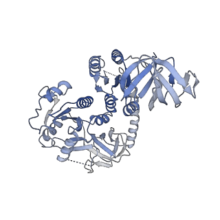 26632_7unt_x_v1-0
Compact IF2-GDP bound to the Pseudomonas aeruginosa 70S ribosome initiation complex, from focused classification and refinement (I-B)