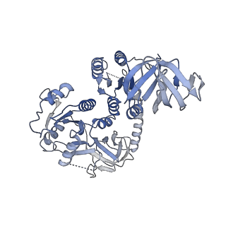 26632_7unt_x_v1-1
Compact IF2-GDP bound to the Pseudomonas aeruginosa 70S ribosome initiation complex, from focused classification and refinement (I-B)