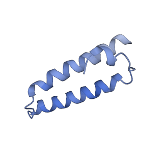 26633_7unu_1_v1-0
Pseudomonas aeruginosa 70S ribosome initiation complex bound to compact IF2-GDP (composite structure I-B)
