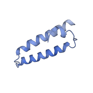 26633_7unu_1_v1-1
Pseudomonas aeruginosa 70S ribosome initiation complex bound to compact IF2-GDP (composite structure I-B)