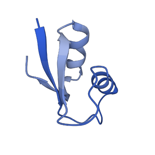 26633_7unu_2_v1-1
Pseudomonas aeruginosa 70S ribosome initiation complex bound to compact IF2-GDP (composite structure I-B)