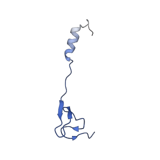26633_7unu_4_v1-0
Pseudomonas aeruginosa 70S ribosome initiation complex bound to compact IF2-GDP (composite structure I-B)