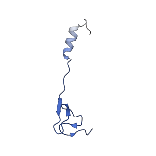 26633_7unu_4_v1-1
Pseudomonas aeruginosa 70S ribosome initiation complex bound to compact IF2-GDP (composite structure I-B)