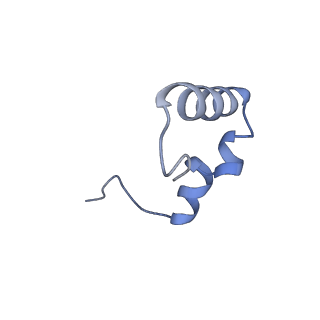 26633_7unu_6_v1-0
Pseudomonas aeruginosa 70S ribosome initiation complex bound to compact IF2-GDP (composite structure I-B)
