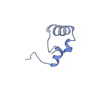 26633_7unu_6_v1-1
Pseudomonas aeruginosa 70S ribosome initiation complex bound to compact IF2-GDP (composite structure I-B)