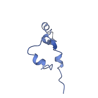 26633_7unu_7_v1-1
Pseudomonas aeruginosa 70S ribosome initiation complex bound to compact IF2-GDP (composite structure I-B)