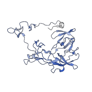 26633_7unu_C_v1-0
Pseudomonas aeruginosa 70S ribosome initiation complex bound to compact IF2-GDP (composite structure I-B)