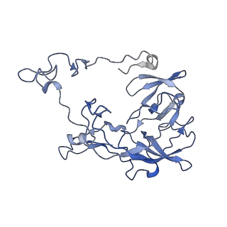 26633_7unu_C_v1-1
Pseudomonas aeruginosa 70S ribosome initiation complex bound to compact IF2-GDP (composite structure I-B)