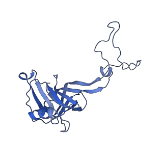 26633_7unu_D_v1-0
Pseudomonas aeruginosa 70S ribosome initiation complex bound to compact IF2-GDP (composite structure I-B)