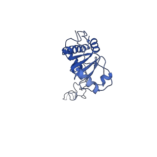 26633_7unu_E_v1-0
Pseudomonas aeruginosa 70S ribosome initiation complex bound to compact IF2-GDP (composite structure I-B)