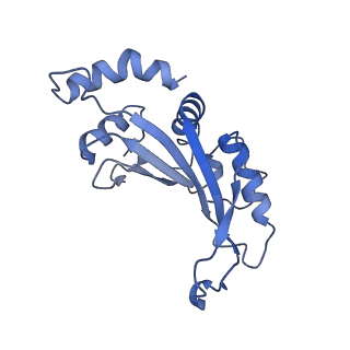 26633_7unu_F_v1-0
Pseudomonas aeruginosa 70S ribosome initiation complex bound to compact IF2-GDP (composite structure I-B)