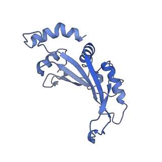 26633_7unu_F_v1-1
Pseudomonas aeruginosa 70S ribosome initiation complex bound to compact IF2-GDP (composite structure I-B)