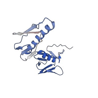 26633_7unu_G_v1-0
Pseudomonas aeruginosa 70S ribosome initiation complex bound to compact IF2-GDP (composite structure I-B)